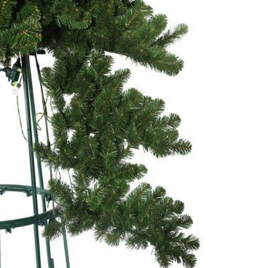 Unidentified Plant Variety * | Vickerman Oregon Fir Artificial Christmas Tree