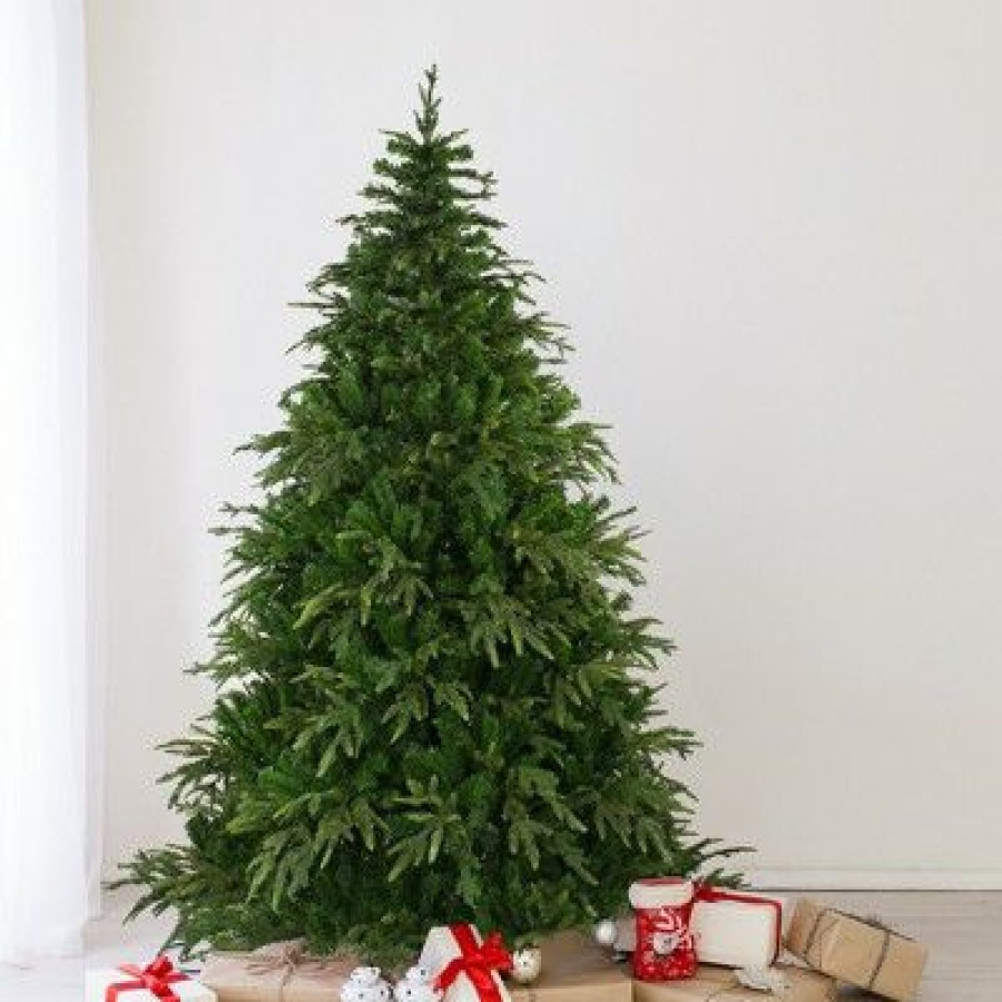 Fir Wood * | Northlight 6.5 Roosevelt Fir Artificial Christmas Tree Unlit