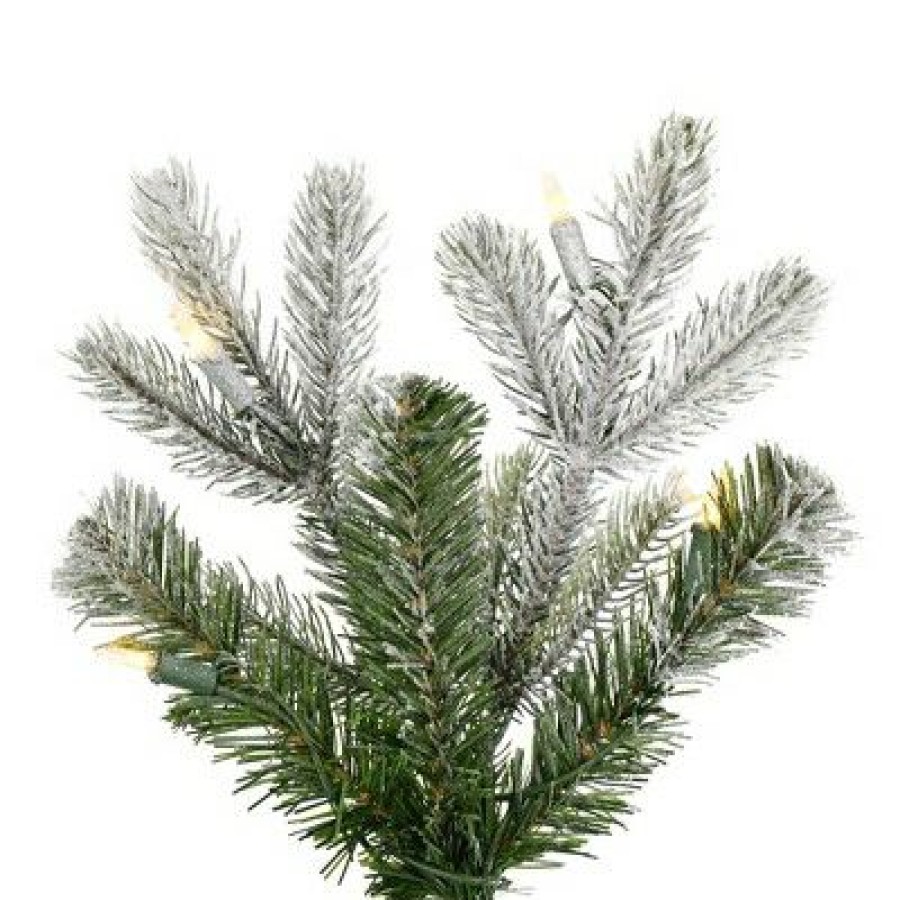 Pine * | Vickerman 5 X 32 Frosted Wendell Slim Potted Pine Artificial Christmas Tree, Warm White Dura-Lit Led Lights