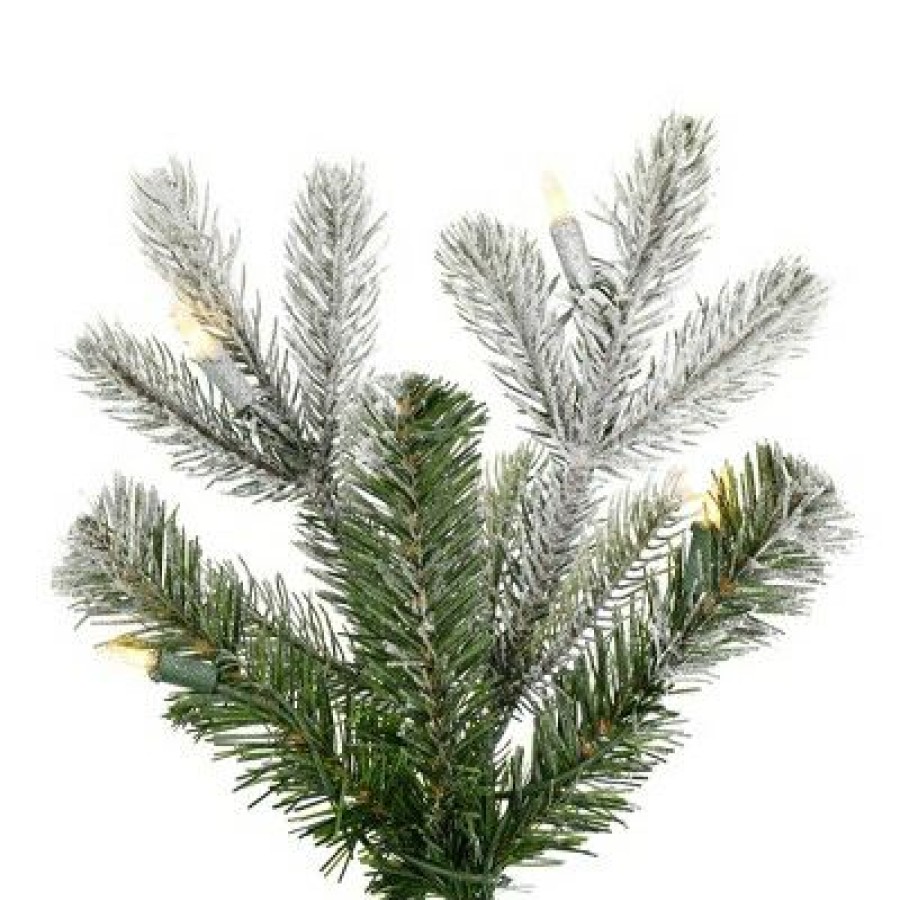 Pine * | Vickerman 5 X 32 Frosted Wendell Slim Potted Pine Artificial Christmas Tree, Warm White Dura-Lit Led Lights