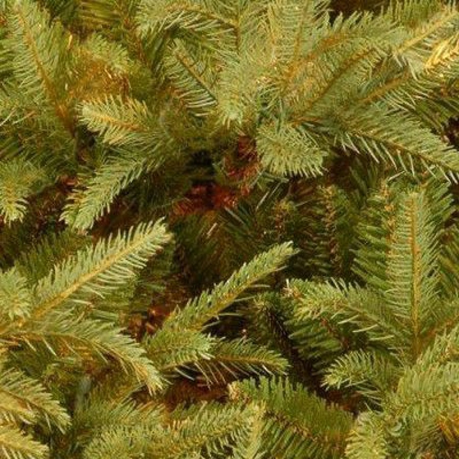 Fir Wood * | National Tree Company 'Feel Real' Artificial Full Christmas Tree, Green, Frasier Grande, Includes Stand, 7.5 Feet