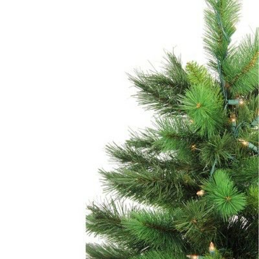 Spruce * | Northlight 3 Prelit Artificial Christmas Tree New Carolina Spruce Clear Lights