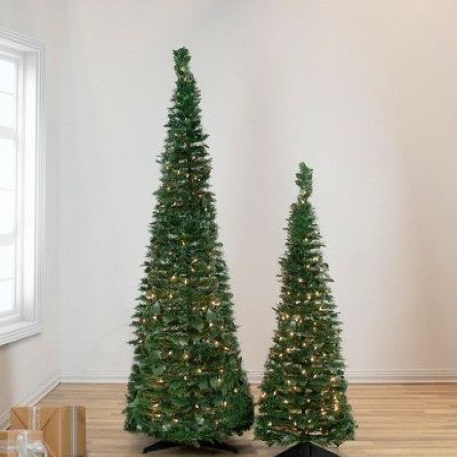 Unidentified Plant Variety * | Northlight 6 Prelit Artificial Christmas Tree Slim Holly Leaf Pop-Up Clear Lights