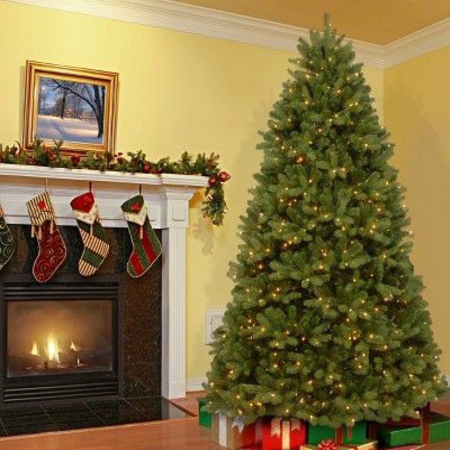 Spruce * | National Tree Company 6 Ft. Newberry Spruce Tree With Dual Color Led Lights