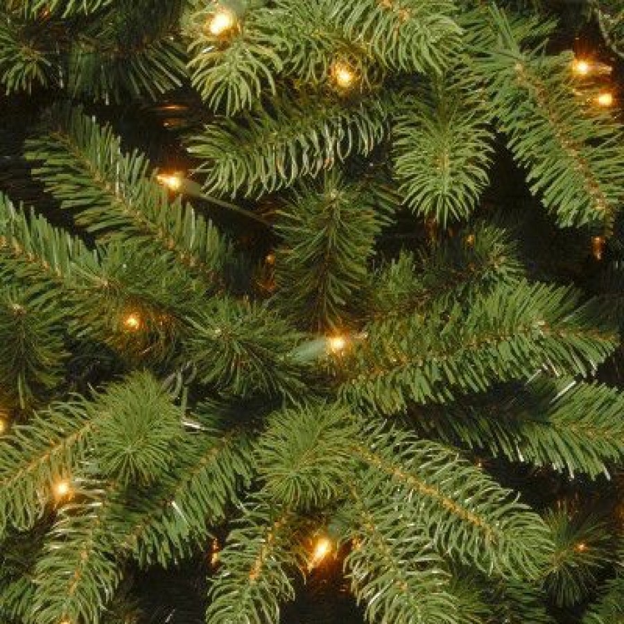 Spruce * | National Tree Company 6 Ft. Newberry Spruce Tree With Dual Color Led Lights