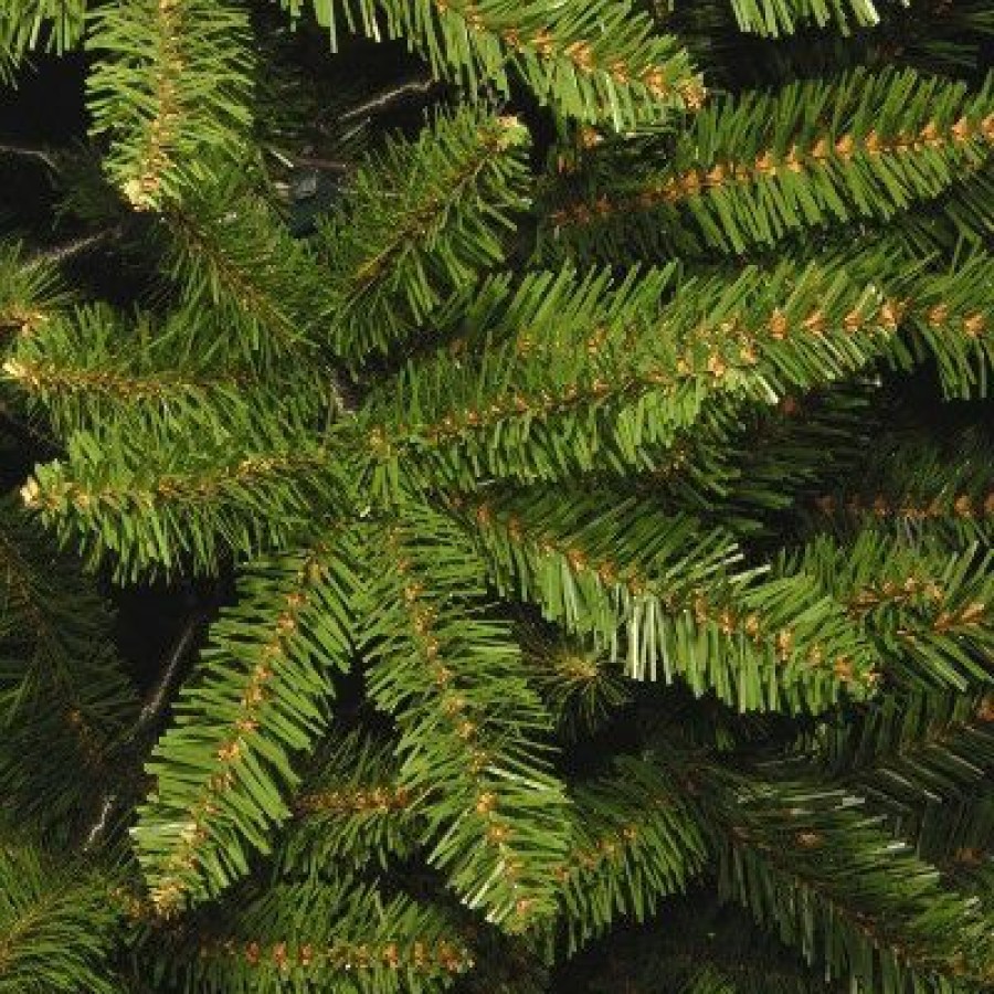 Fir Wood * | National Tree Company Artificial Slim Christmas Tree, Green, Kingswood Fir, Includes Stand, 12 Feet