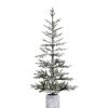 Fir Wood * | Haute Decor 5Ft Pre-Lit Led Flocked Timberland Fir Artificial Christmas Tree Haute Decor