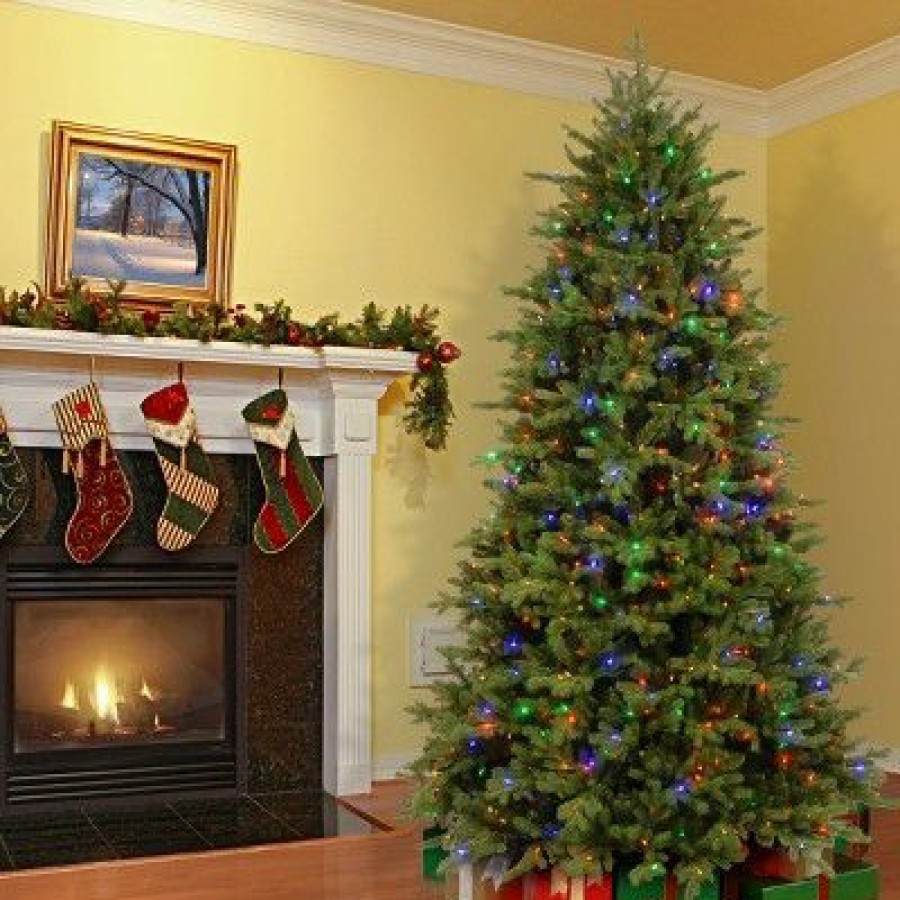 Fir Wood * | National Tree Company 6.5 Ft. Powerconnect(Tm) Princeton Fraser Fir With Dual Color Led Lights