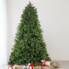 Pine * | Northlight 6.5 Gunnison Pine Artificial Christmas Tree Unlit