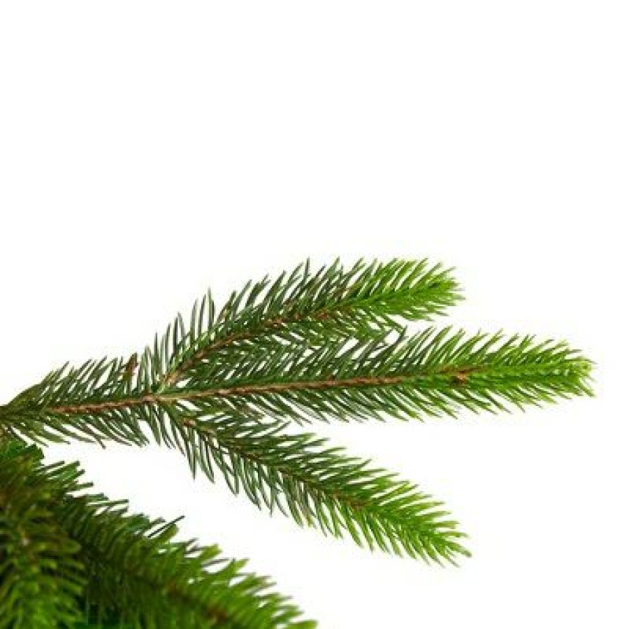 Pine * | Northlight 6.5 Gunnison Pine Artificial Christmas Tree Unlit