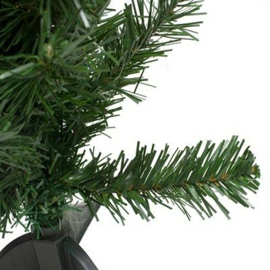 Fir Wood * | Northlight 18 Medium Blackwater Fir Artificial Christmas Tree Unlit