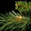 Fir Wood * | 7.5Ft Pre-Lit Full Tiffany Fir Artificial Christmas Tree Clear Lights National Tree Company