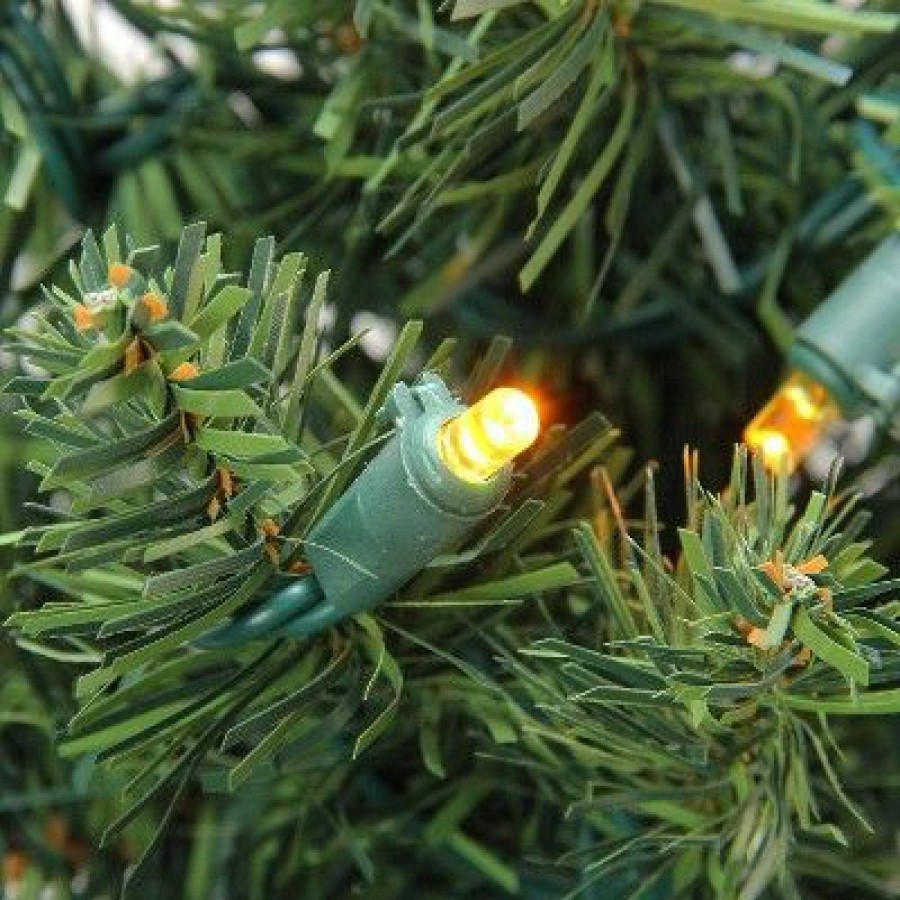 Balsam Fir * | Northlight 6 Pre-Lit Led Pencil Northern Balsam Fir Artificial Christmas Tree Multi Lights