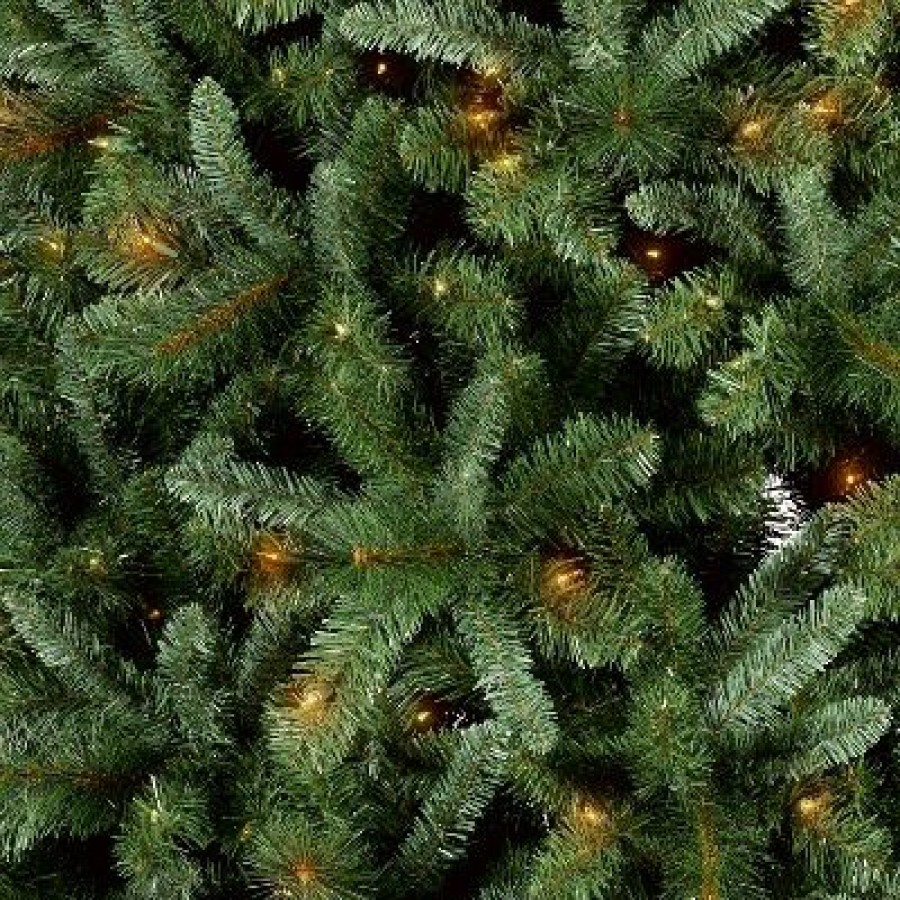 Douglas Fir * | 10.5' Pre-Lit Full Douglas Fir Artificial Christmas Tree Clear Lights With Autoconnect Wondershop