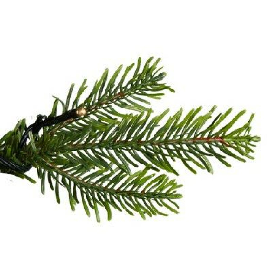 Pine * | Northlight 6.5 Pre-Lit Woodcrest Pine Artificial Christmas Tree Clear Lights