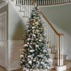 Fir Wood * | National Tree Company 7.5 Ft. Snowy Everest Fir Medium Tree With Clear Lights