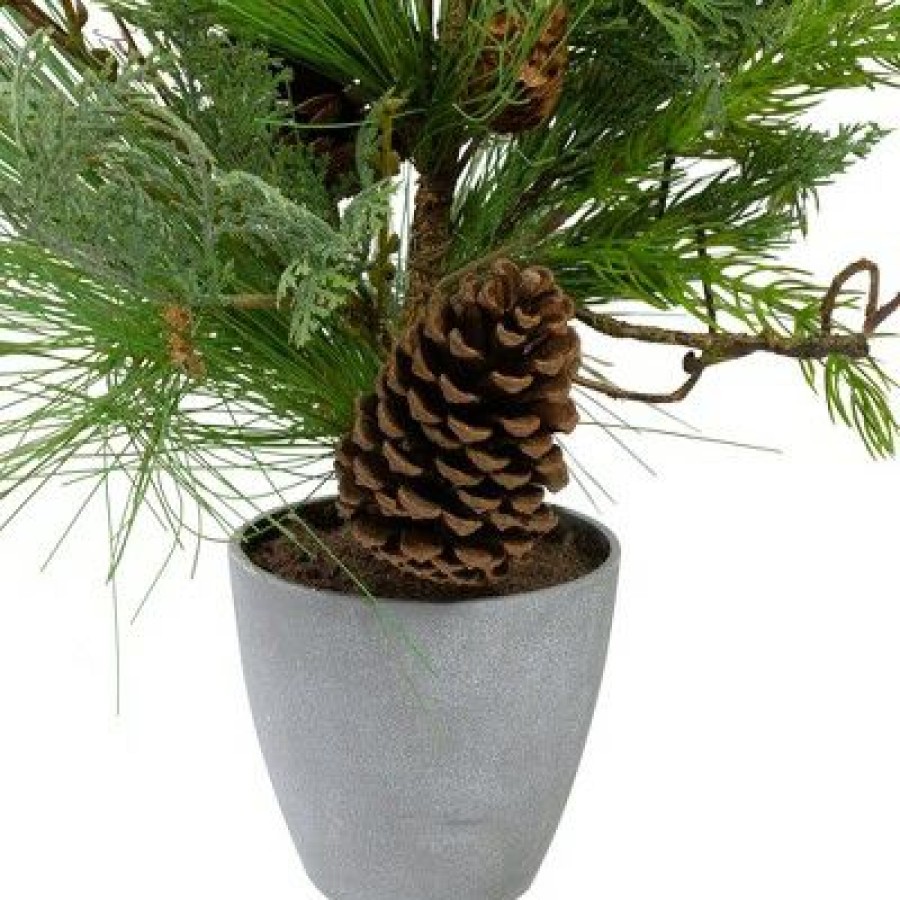 Pine * | Northlight 2 Potted Mixed Pine, Cedar And Twig Artificial Christmas Tree Unlit