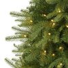 Fir Wood * | Nearly Natural Pre-Lit Led Vancouver Fir Artificial Christmas Tree Clear Lights