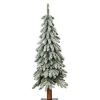 Pine * | 3Ft Haute Decor Pre-Lit Lightly Flocked Alpine Artificial Christmas Tree