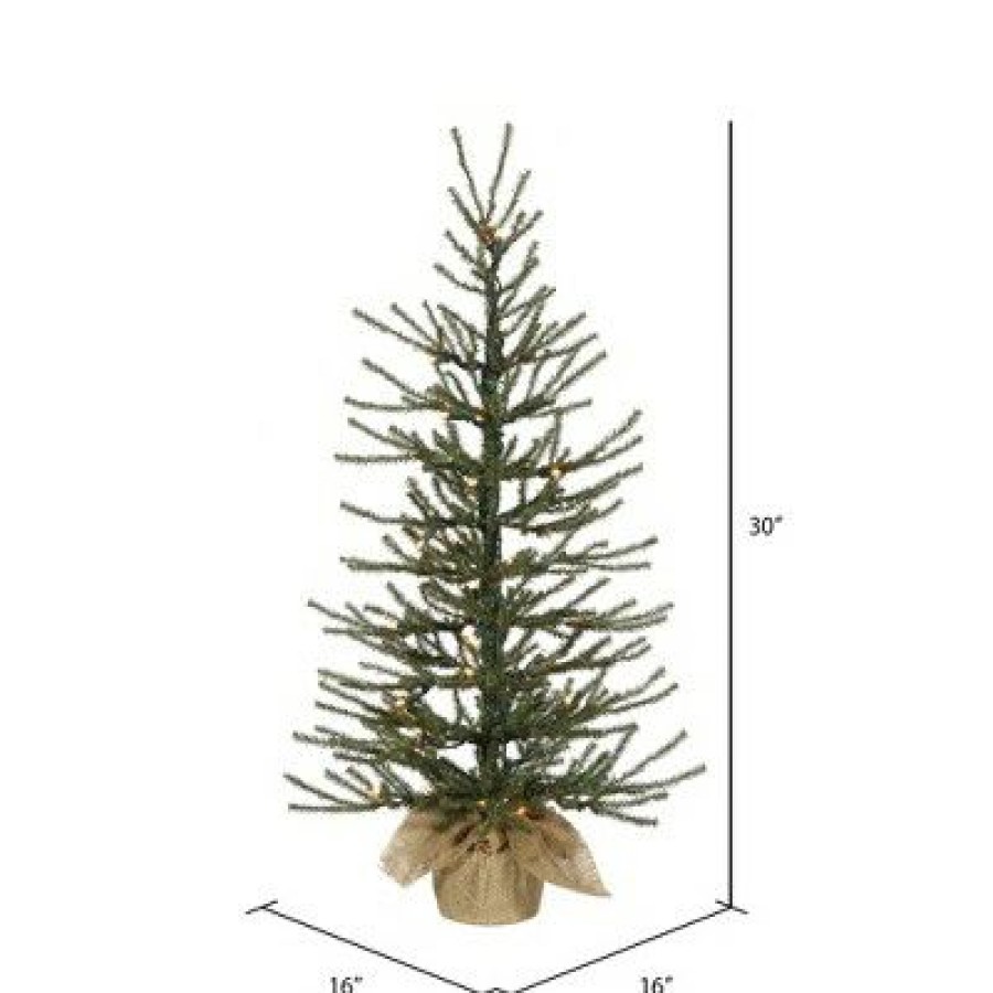 Unidentified Plant Variety * | Vickerman Angel Pine Artificial Christmas Tabletop Tree