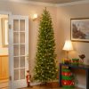 Fir Wood * | National Tree Company Pre-Lit 'Feel Real' Artificial Slim Downswept Christmas Tree, Green, Douglas Fir, White Lights, Includes Stand, 7.5 Feet