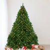 Pine * | Northlight 9 Pre-Lit Full Olympia Pine Artificial Christmas Tree Warm White Lights