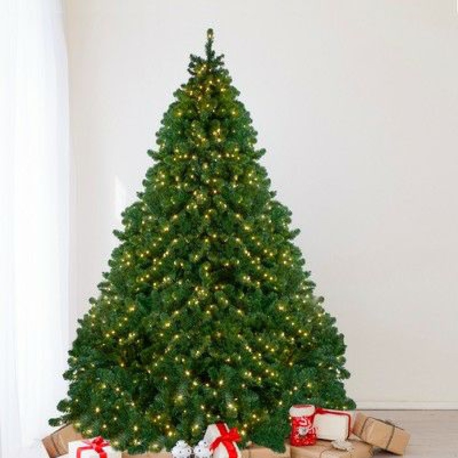 Pine * | Northlight 9 Pre-Lit Full Olympia Pine Artificial Christmas Tree Warm White Lights