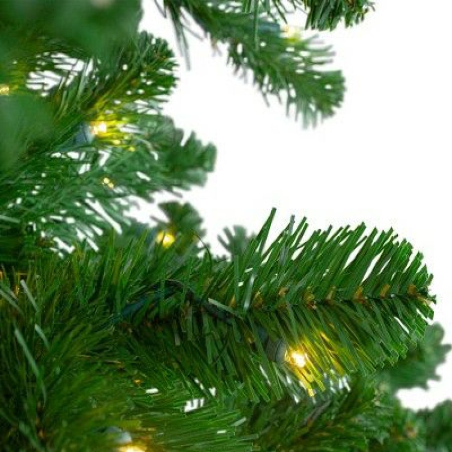 Pine * | Northlight 9 Pre-Lit Full Olympia Pine Artificial Christmas Tree Warm White Lights