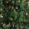 Fir Wood * | Northlight 9.5 Prelit Medium Buffalo Fir Artificial Christmas Tree Clear Lights