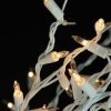 Pine * | Northlight 9 Christmas Lighted Cascade Outdoor Decoration Twig Tree- Clear