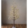 Unidentified Plant Variety * | Plow & Hearth Large Lighted Snowy Pine Tree With 150 Lights, 84 H